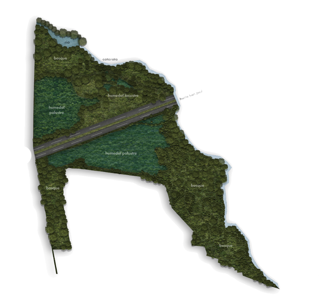 Mapa de sectorización del Parque Lorne Ross — zonas de conservación, bosque y humedal